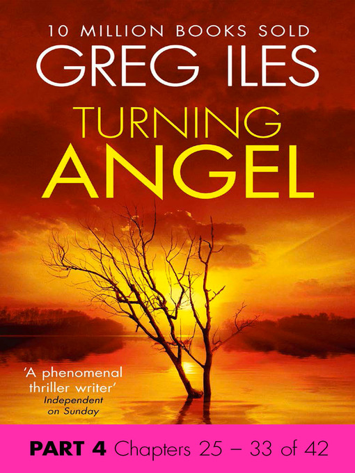Cover image for Turning Angel, Part 4
